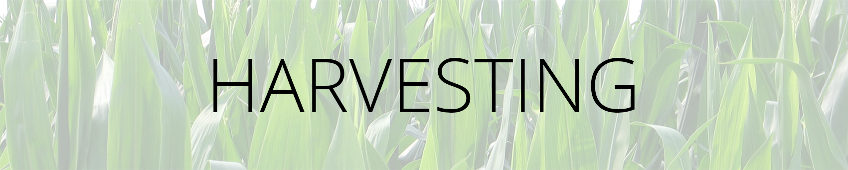 Harvesting Banner Image