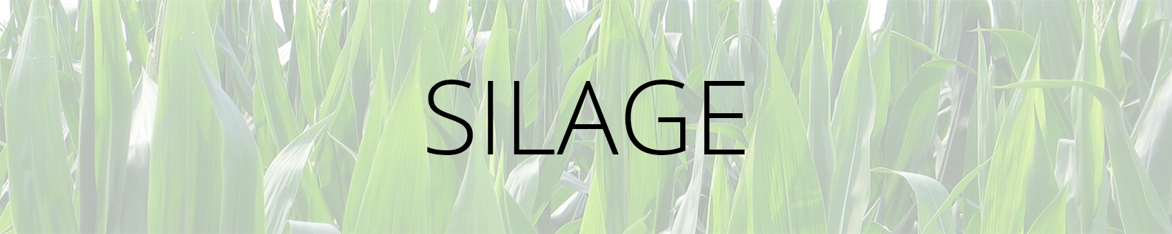 Silage Banner