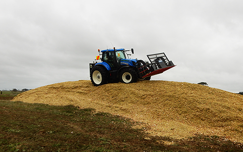 Maize Pit Compaction