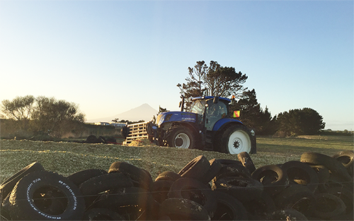 Maize Pit Compaction