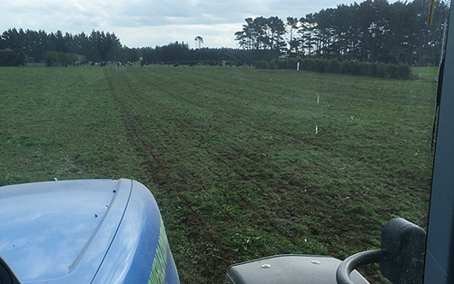 Soil Aerator