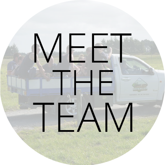 Meet the Team Label