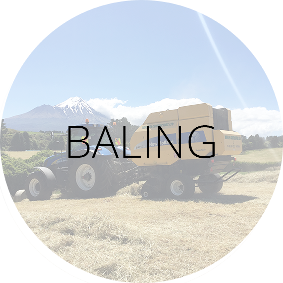 Baling Label
