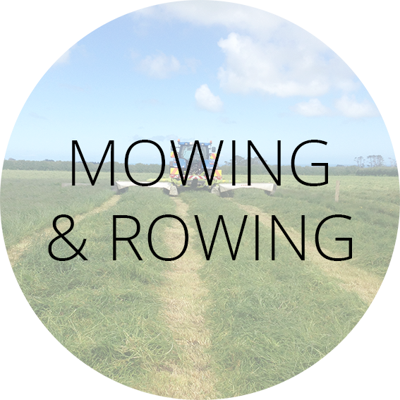 Mowing & Rowing Label