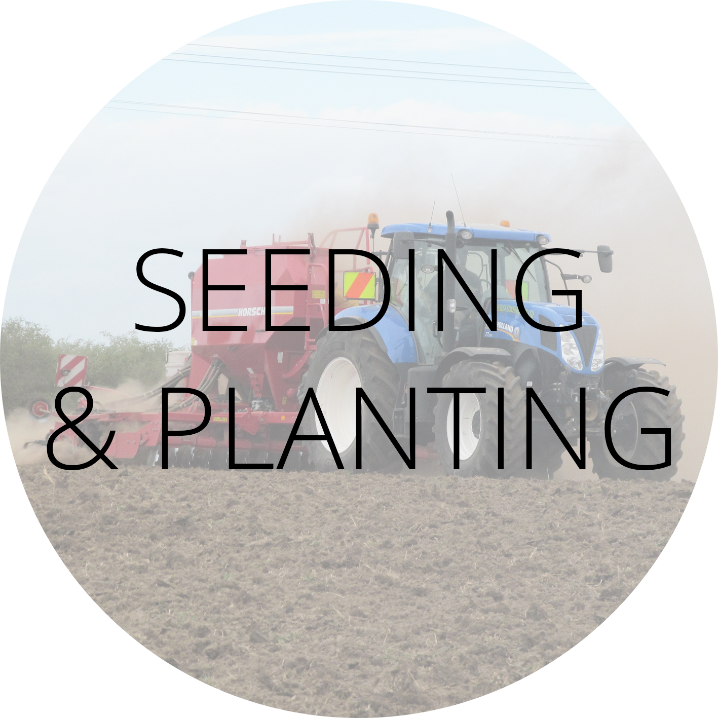 Seeding & Planting Label